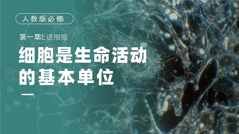 【核心素养目标】1.1《细胞是生命活动的基本单位》课件+课堂检测01