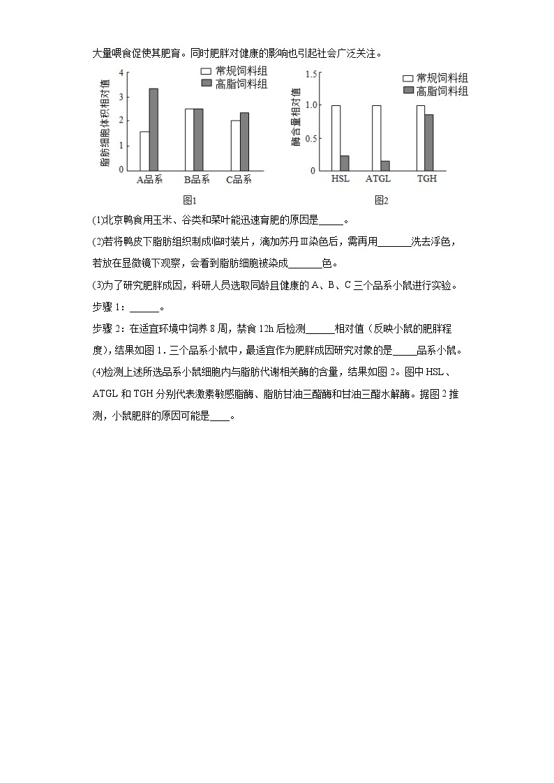 【核心素养目标】2.3《细胞中的糖类和脂质》课件+课堂检测03