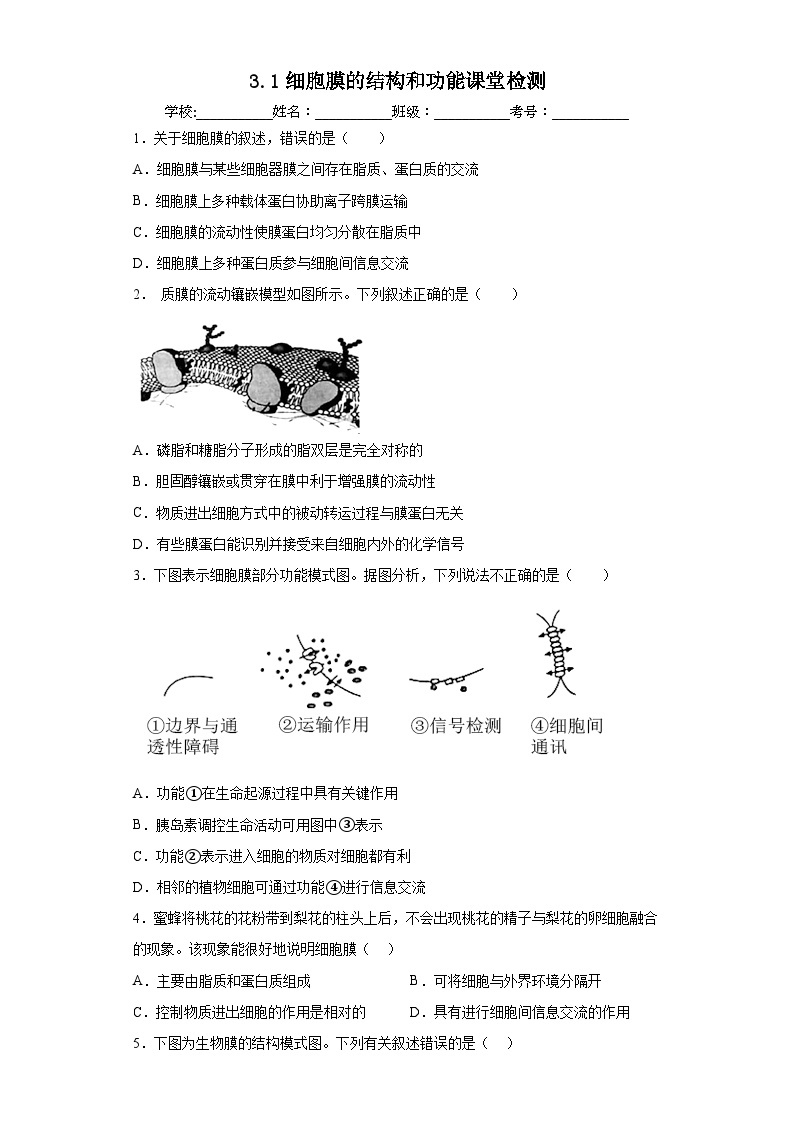 【核心素养目标】3.1《细胞膜的结构和功能》课件+课堂检测01