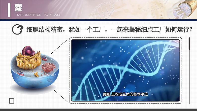 【核心素养目标】3.2《细胞器之间的分工合作》课件+课堂检测03