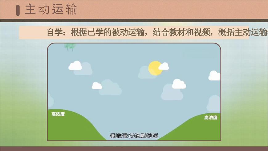 4.2《主動(dòng)運(yùn)輸與胞吞、胞吐》課件第7頁