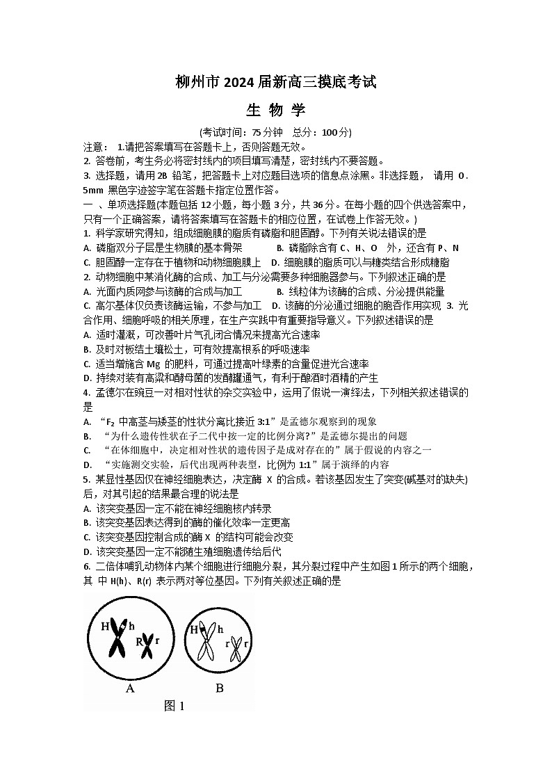 2024壮族自治区柳州新高三上学期开学摸底考试生物含答案01