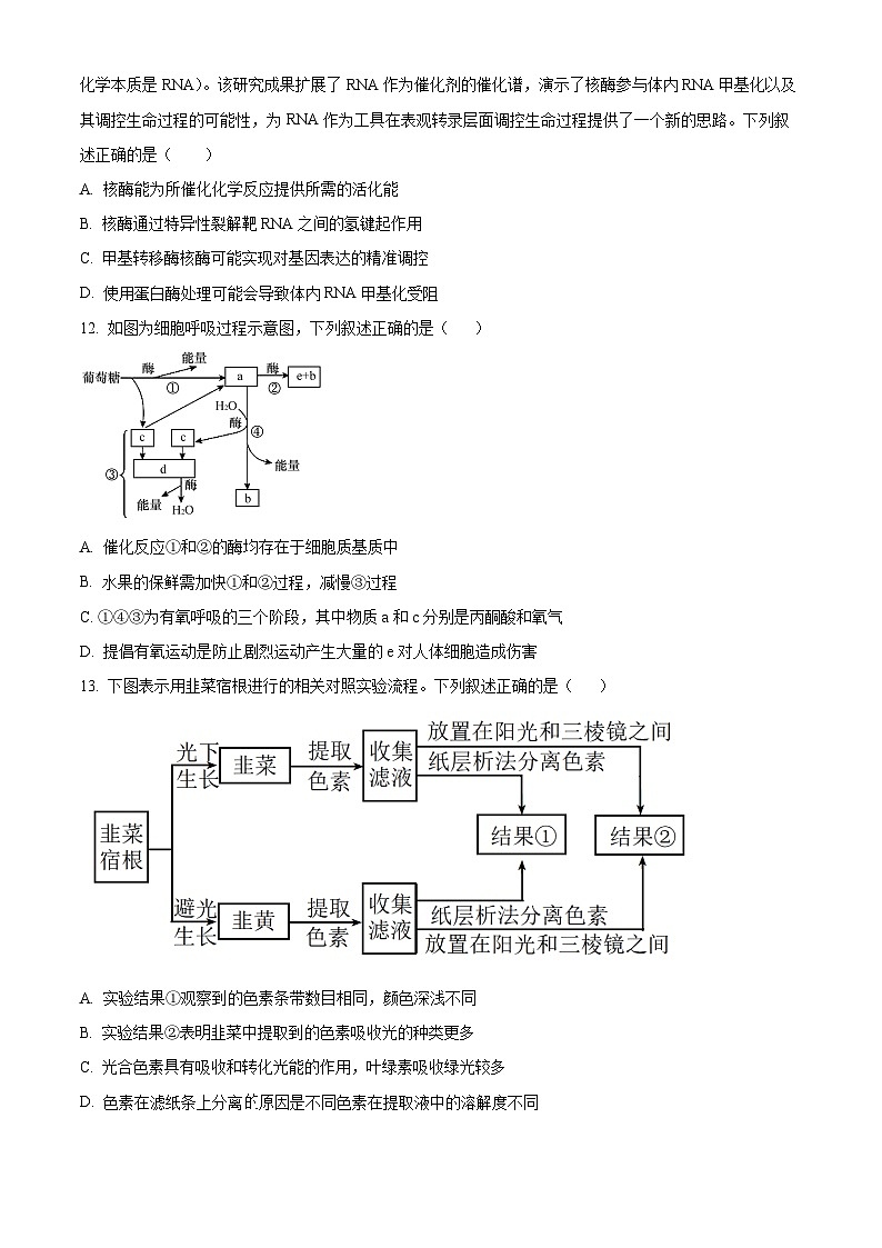 四川省成都外国语学校2023-2024学年高二上学期9月月考生物试题无答案第3页