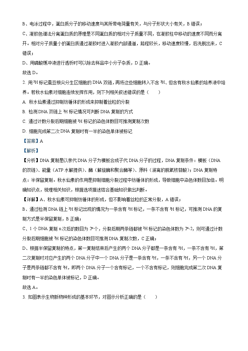 四川省眉山市仁寿县一中北校区2023-2024学年高三生物上学期9月月考试题(Word版附解析)第2页