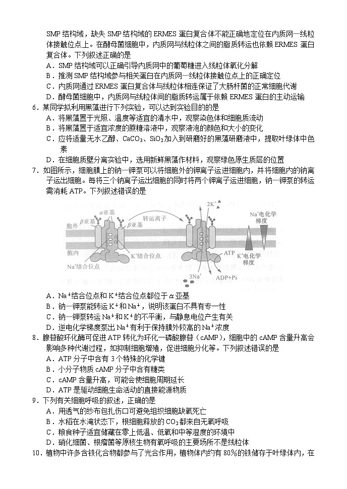 河南省中原名校联盟2023-2024学年高三生物上学期9月调研考试试题(Word版附解析)02