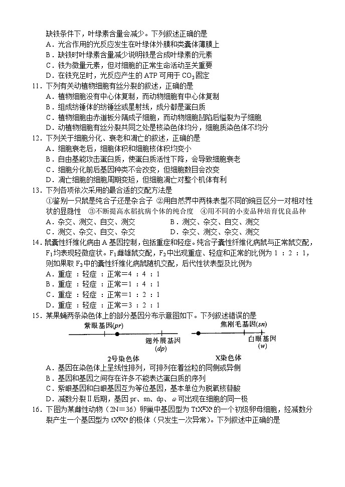 河南省中原名校联盟2023-2024学年高三生物上学期9月调研考试试题(Word版附解析)03