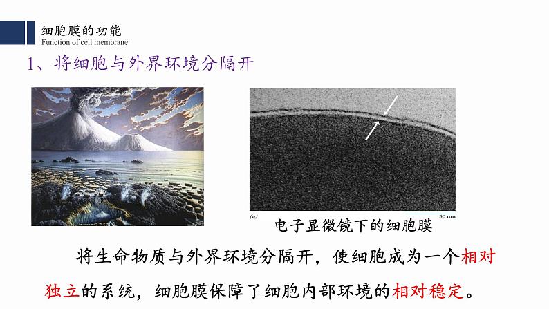 3.1细胞膜的结构与功能课件PPT第3页