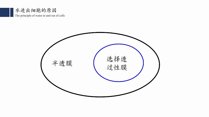 4.1被动运输(2)课件PPT07