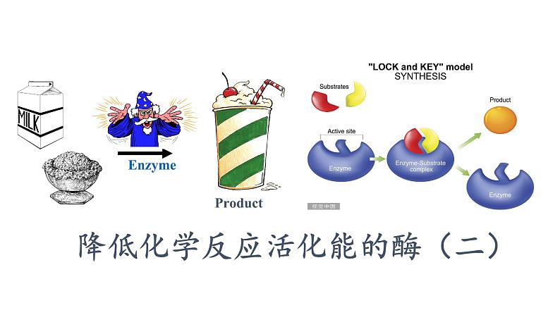 5.1降低化学反应活化能的酶(2)课件PPT第1页