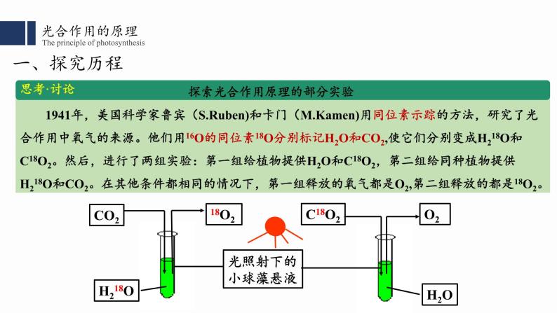 5.4光合作用与能量转化（2）课件PPT05