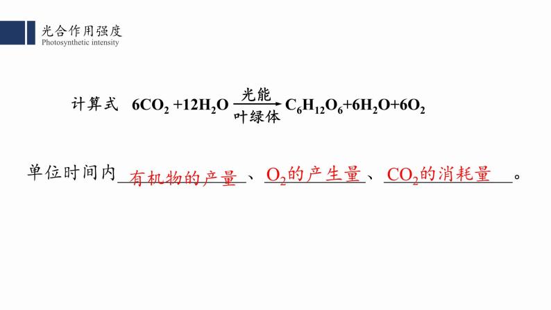5.4光合作用与能量转化（3）课件PPT02