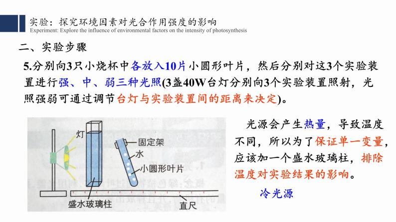 5.4光合作用与能量转化（3）课件PPT07