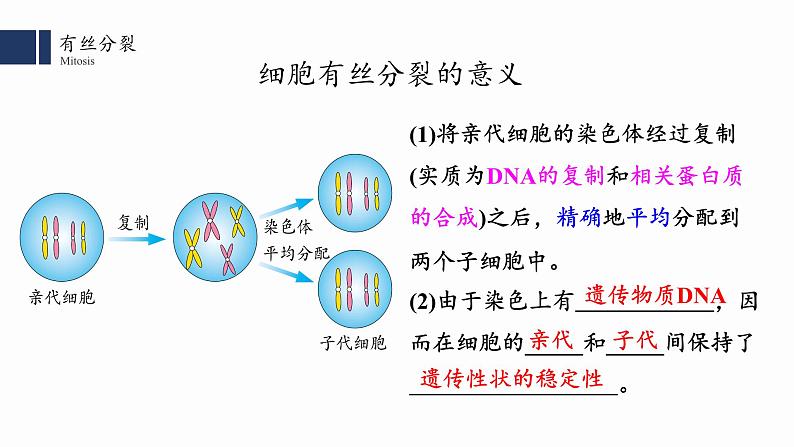 6.1细胞的增殖(2)课件PPT第6页