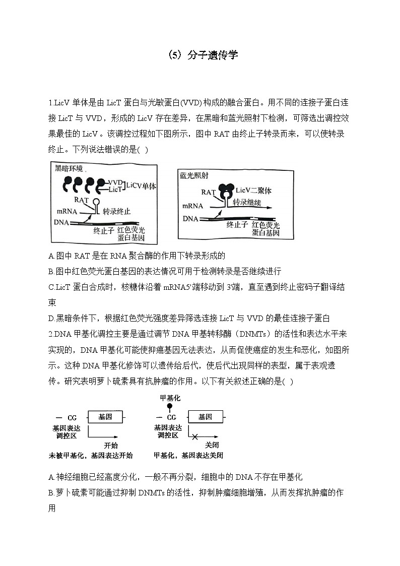 2024届高考生物一轮复习专项练习(5)分子遗传学第1页