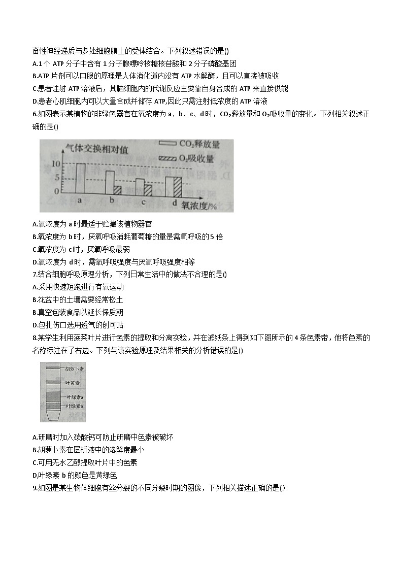 甘肃省武威市民勤县一中2023-2024学年高二上学期开学考试生物试题(含答案)第2页