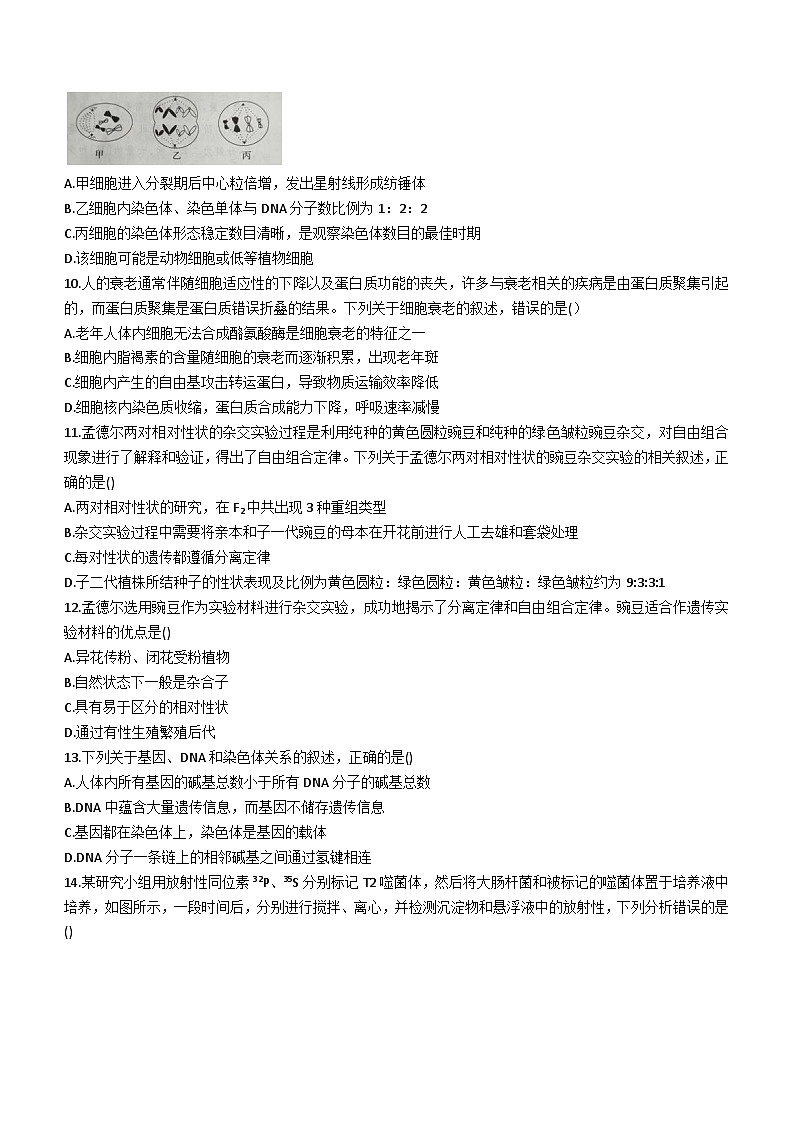 甘肃省武威市民勤县一中2023-2024学年高二上学期开学考试生物试题(含答案)第3页