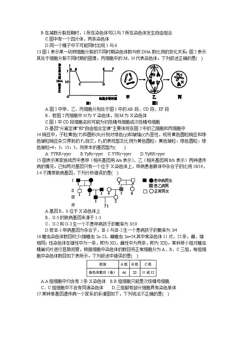 河南省南阳市第一中学校2023-2024学年高三上学期第二次月考生物试题第3页