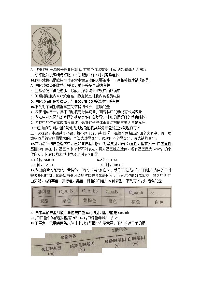 黑龍江省齊齊哈爾市克山縣等2地2023-2024學(xué)年高三上學(xué)期9月月考生物試題第3頁(yè)