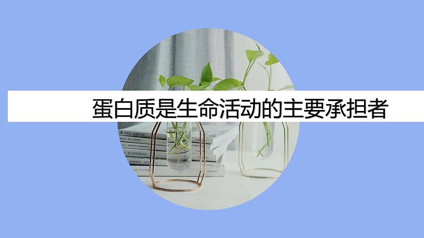 2.4蛋白質(zhì)是生命活動(dòng)的主要承擔(dān)者課件PPT第1頁(yè)
