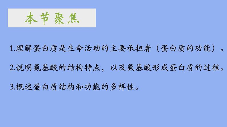 2.4蛋白质是生命活动的主要承担者课件PPT第2页