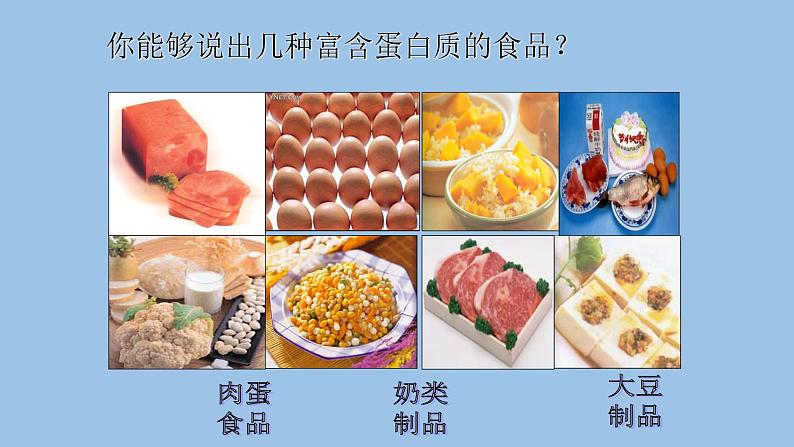 2.4蛋白质是生命活动的主要承担者课件PPT第3页