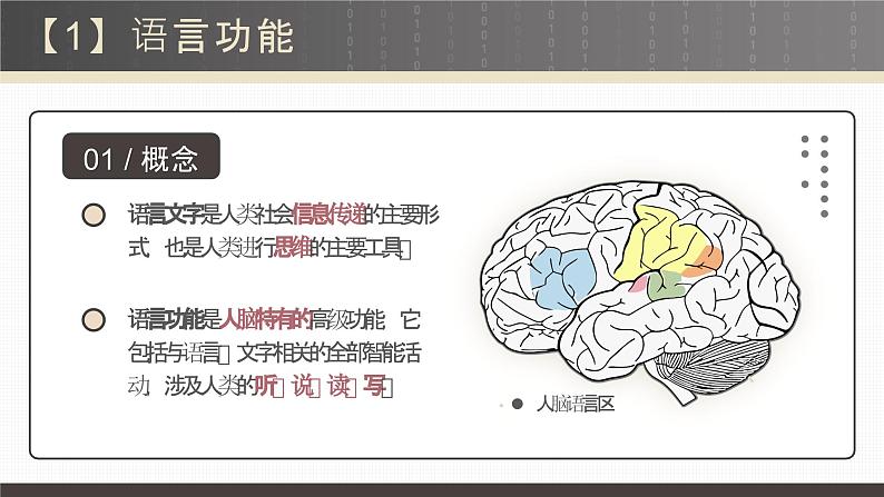 2.5人脑的高级功能-课件第8页