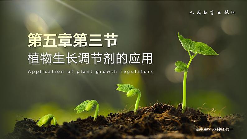 【核心素养目标】5.3《植物生长调节剂的应用》课件第1页