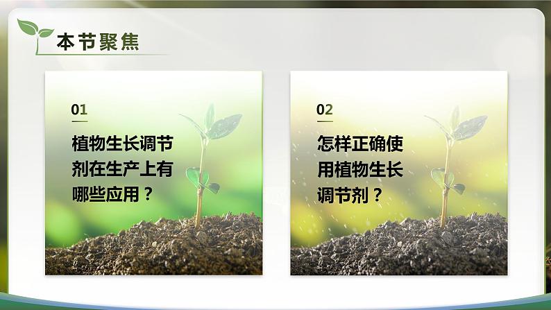 【核心素养目标】5.3《植物生长调节剂的应用》课件第2页