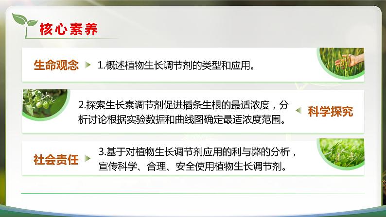 【核心素养目标】5.3《植物生长调节剂的应用》课件第3页