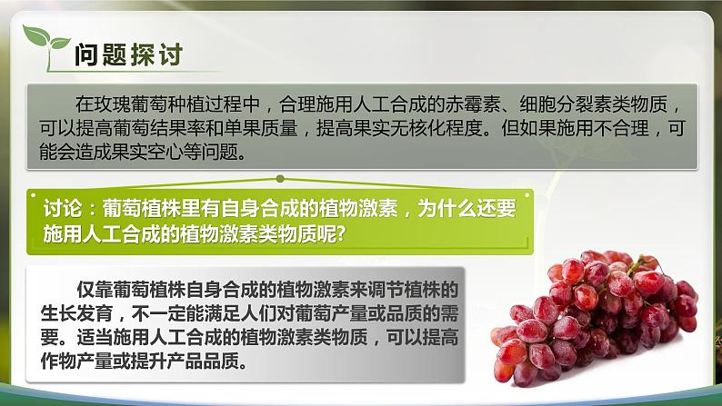 【核心素养目标】5.3《植物生长调节剂的应用》课件第5页