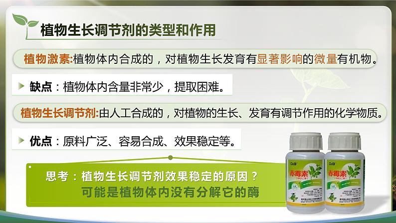 【核心素养目标】5.3《植物生长调节剂的应用》课件第6页
