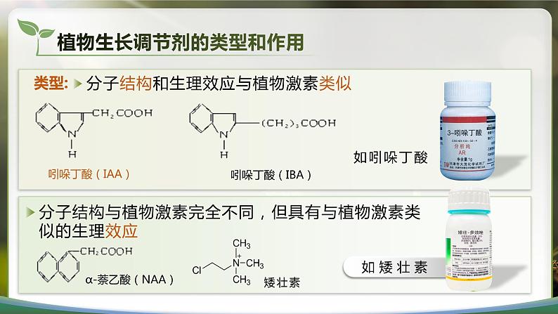 【核心素养目标】5.3《植物生长调节剂的应用》课件第7页