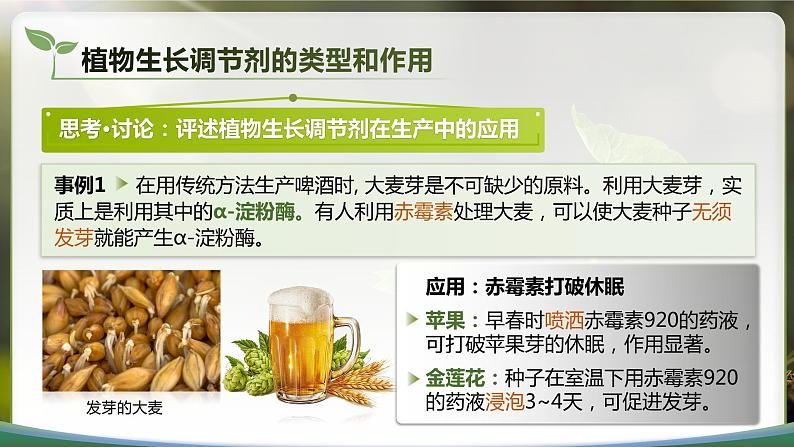 【核心素养目标】5.3《植物生长调节剂的应用》课件第8页