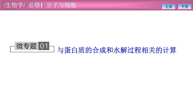 2.4有关蛋白质的计算课件PPT第1页