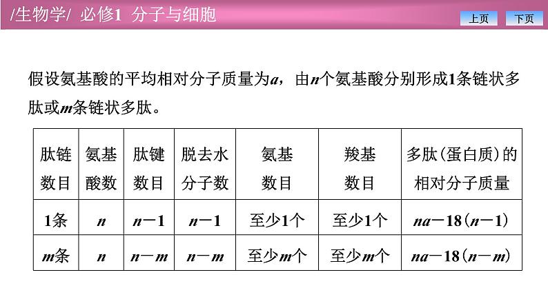 2.4有关蛋白质的计算课件PPT第3页