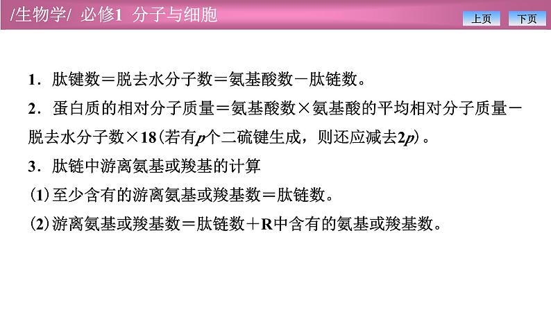 2.4有关蛋白质的计算课件PPT第4页