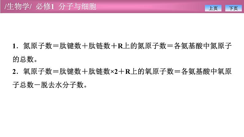 2.4有关蛋白质的计算课件PPT第8页