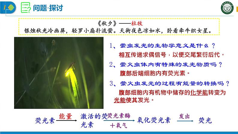 5.2 细胞的能量“货币”-ATP课件PPT03