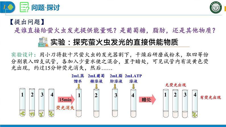 5.2 细胞的能量“货币”-ATP课件PPT04