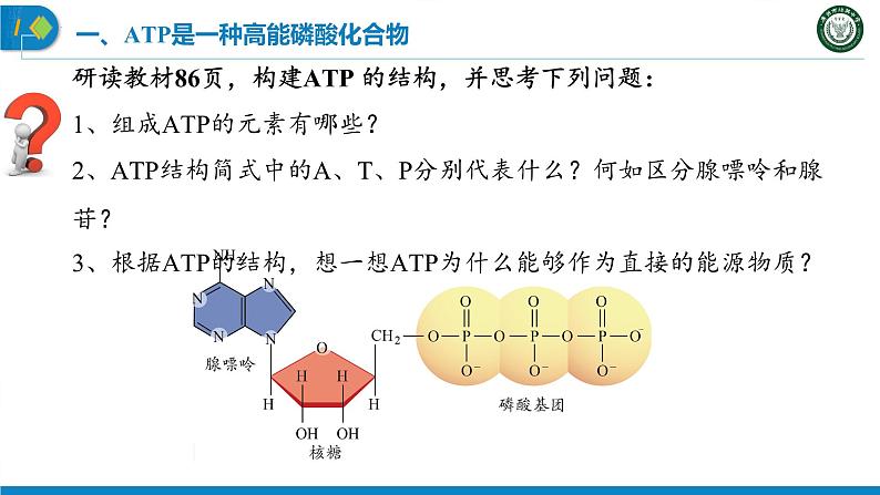 5.2 细胞的能量“货币”-ATP课件PPT08