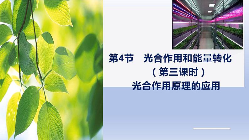 5.4.3光合作用原理的应用--影响光合作用的因素课件PPT01