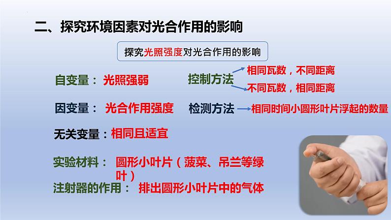 5.4.3光合作用原理的应用--影响光合作用的因素课件PPT05