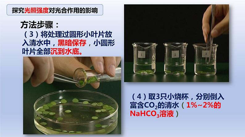 5.4.3光合作用原理的应用--影响光合作用的因素课件PPT07