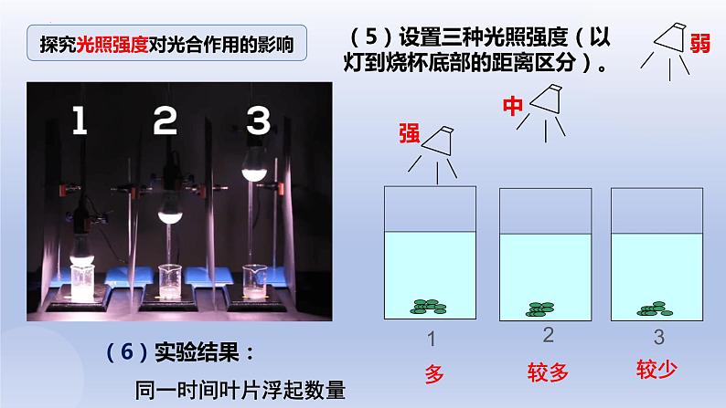 5.4.3光合作用原理的应用--影响光合作用的因素课件PPT08