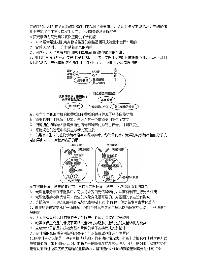 2024湘豫名校联考高三上学期9月一轮复习诊断考试(一)生物试题第2页