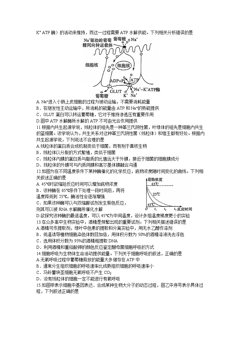 2024湘豫名校联考高三上学期9月一轮复习诊断考试(一)生物试题第3页