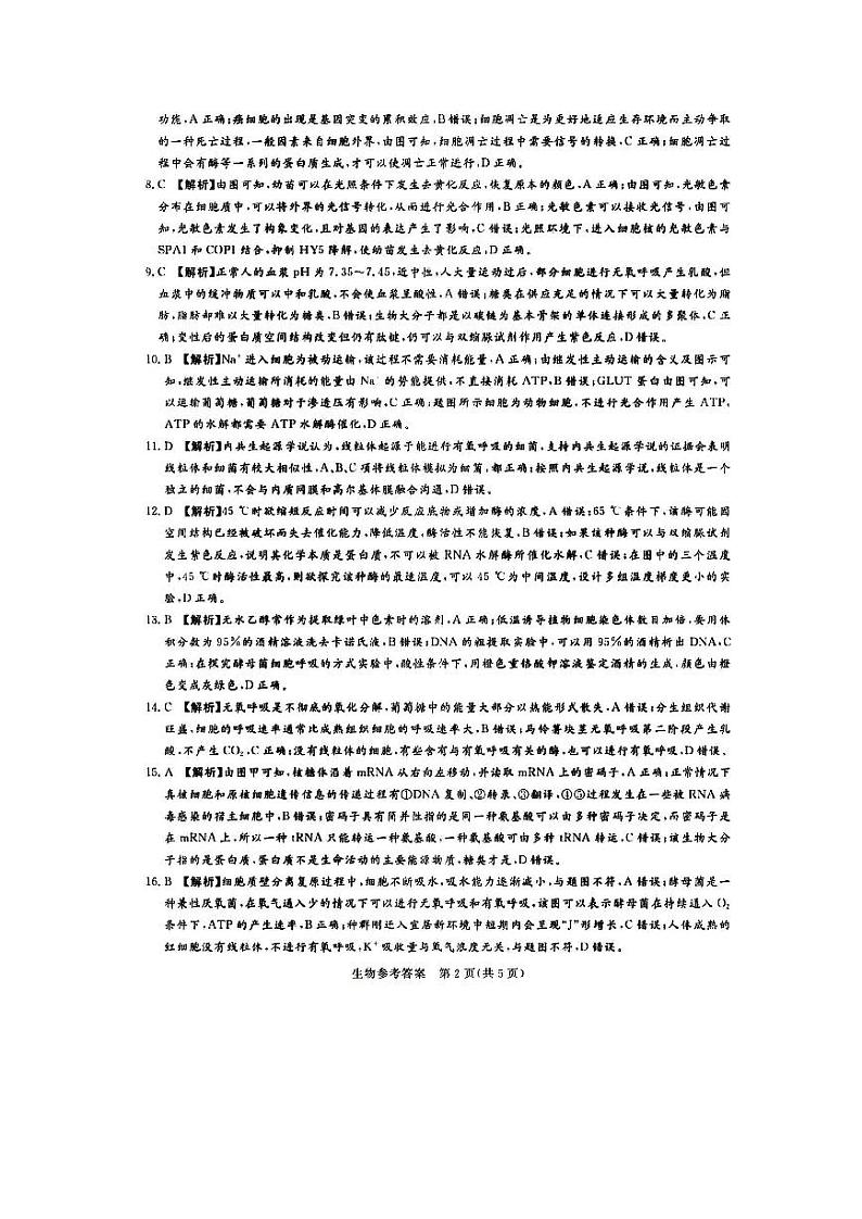 2024湘豫名校联考高三上学期9月一轮复习诊断考试(一)生物答案第2页