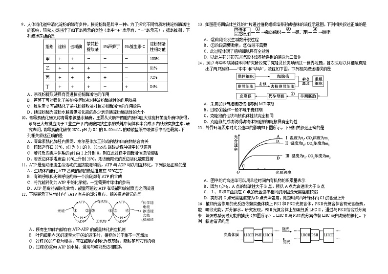 2024长春外国语学校高三上学期9月月考试题生物含答案第2页