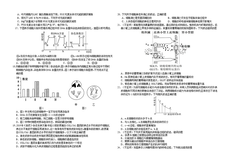 2024长春外国语学校高三上学期9月月考试题生物含答案第3页