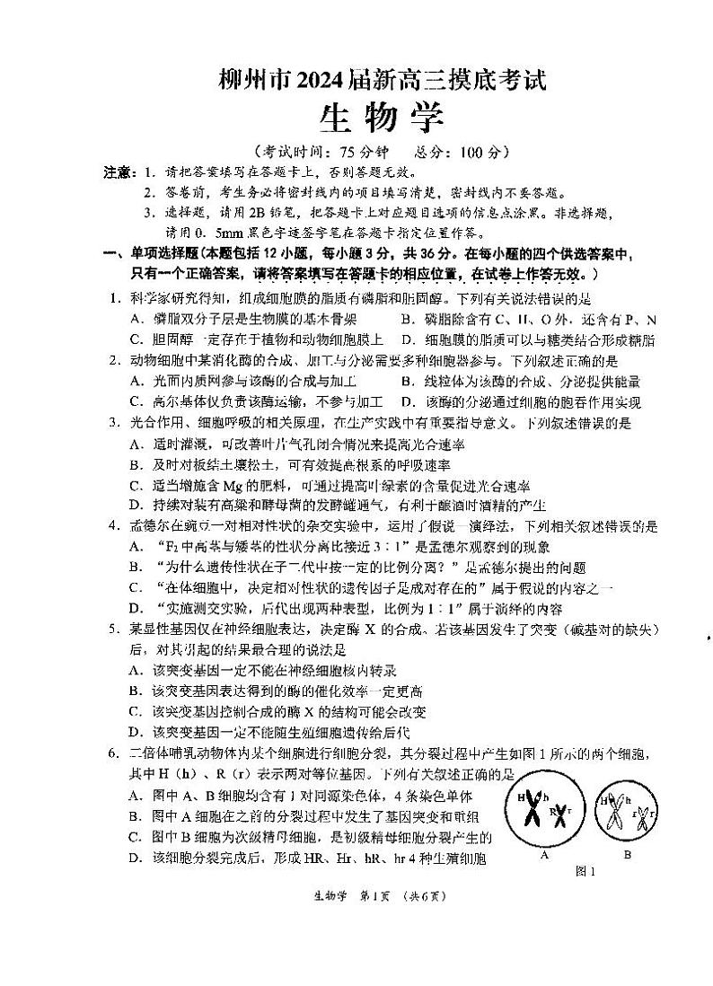 广西柳州市2023-2024学年高三9月摸底考试 生物试卷及参考答案01